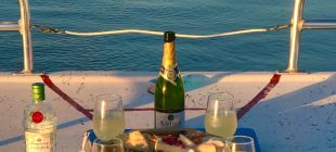 botanybayexotours weddings on the water description